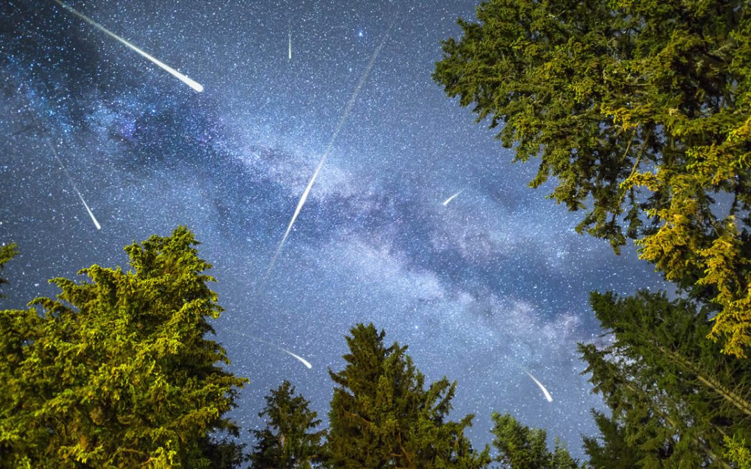 Mira hacia arriba esta noche: lluvia de meteoros Perseidas alcanzará su punto álgido