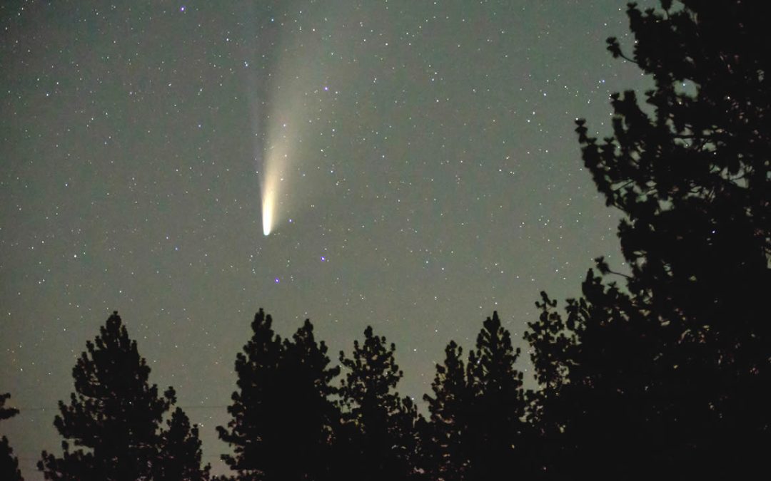 “Cometa del siglo” en órbita desde hace 80.000 años, será visible desde la Tierra en algunos días