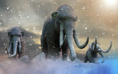 El mamut lanudo más cerca que nunca de volver a la vida. ¿Tiene sentido hacerlo ahora?