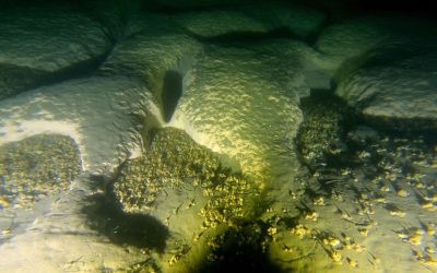 Docenas de cráteres aparecen en el fondo del lago Michigan y científicos no pueden explicarlo