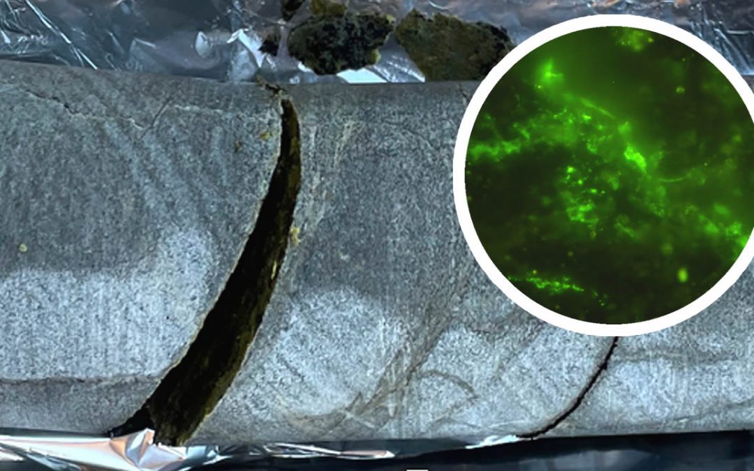 Hallan una roca de 2.000 millones de años y aún tiene microbios vivos