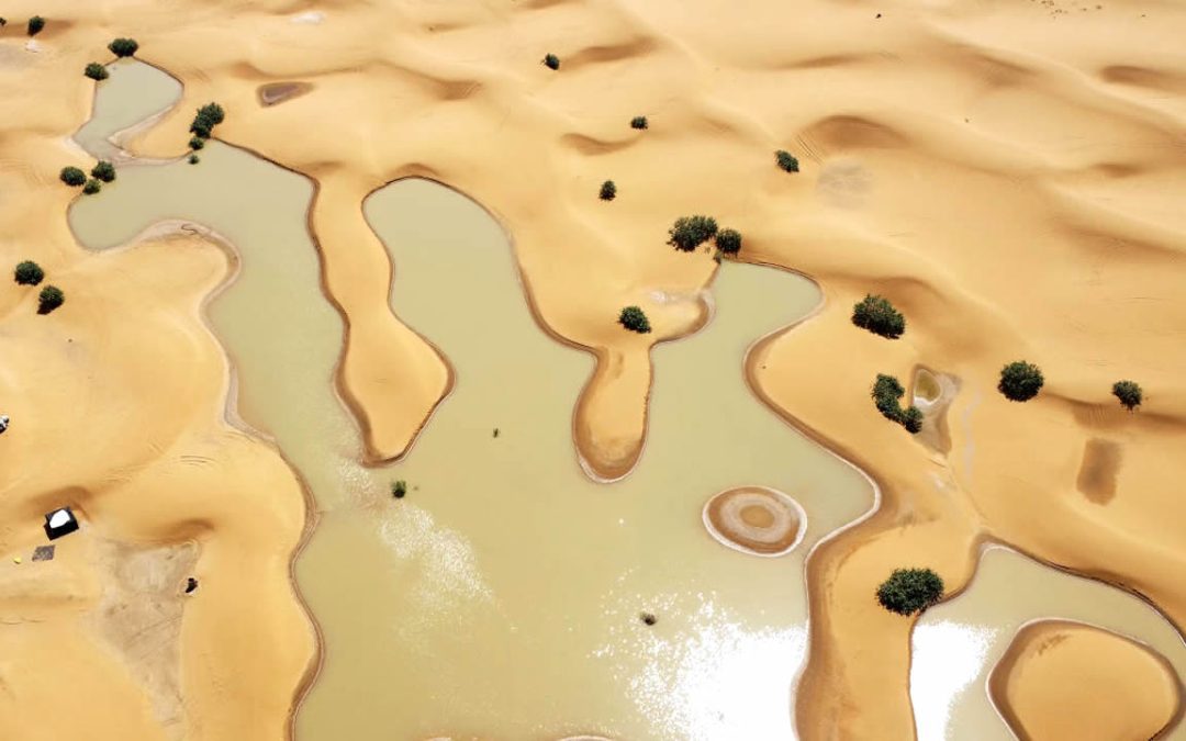 Agua brota de las dunas en el desierto del Sahara y forma extrañas lagunas