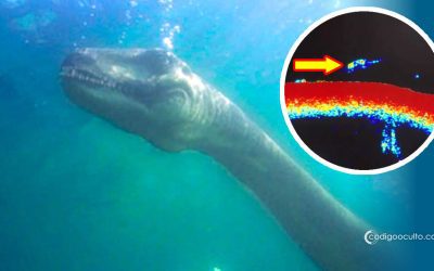 ¿Han encontrado a “Nessie”? Comparten imágenes de una “forma monstruosa” captada por un sonar