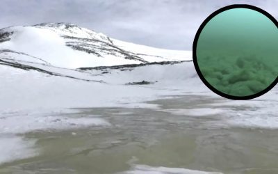 Científicos exploran un lago antártico secreto oculto bajo el hielo y descubren un ecosistema nunca antes visto