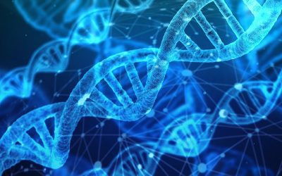 Científicos revelan el primer mapa completo de la recombinación del ADN humano