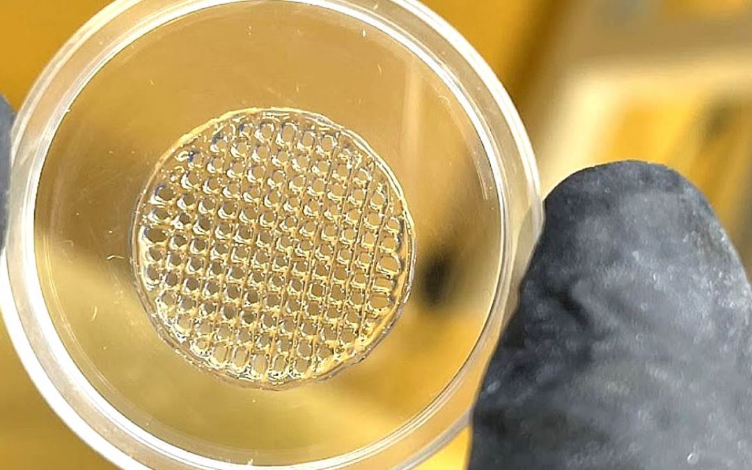 Crean piel realista impresa en 3D con células vivas para sustituir ensayos con animales en cosmética