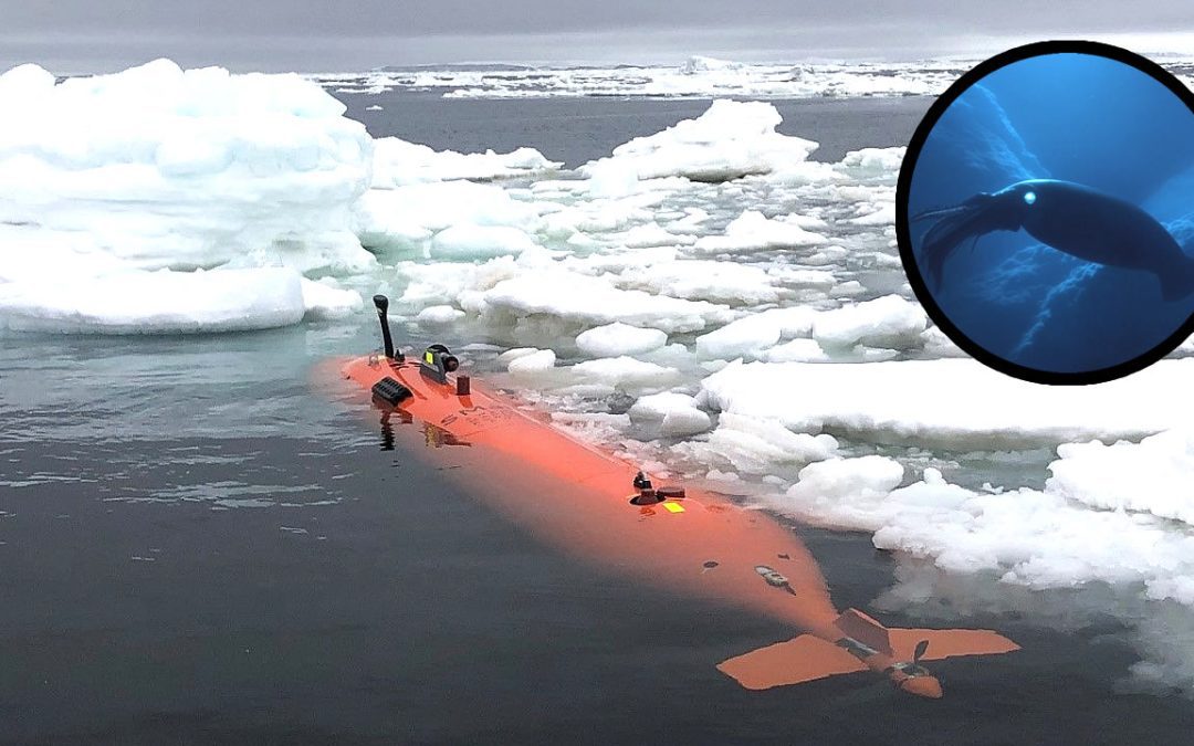 Submarino desapareció en la Antártida tras descubrir “estructuras desconocidas” bajo el hielo