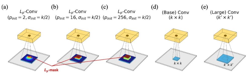 El cerebro procesa la información visual mediante una estructura de conectividad de forma gaussiana que se extiende gradualmente desde el centro hacia fuera, integrando con flexibilidad una amplia gama de información. En cambio, las CNN tradicionales se enfrentan a problemas en los que la ampliación del tamaño del filtro diluye la información o reduce la precisión (d, e). Para superar estas limitaciones estructurales, el equipo de investigación desarrolló la Lp-Convolution, inspirada en la conectividad del cerebro (a-c). Este diseño distribuye espacialmente los pesos para preservar la información clave incluso en campos receptivos extensos, lo que resuelve eficazmente las deficiencias de las CNN convencionales.