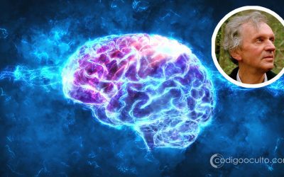 Científico afirma que la naturaleza tiene memoria y que la mente no está atrapada en el cerebro