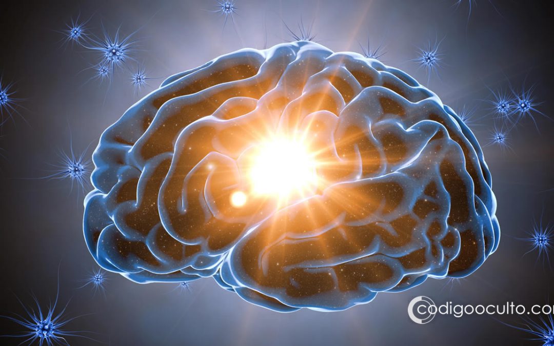Sueños lúcidos revelan un estado de conciencia completamente diferente, revela investigación