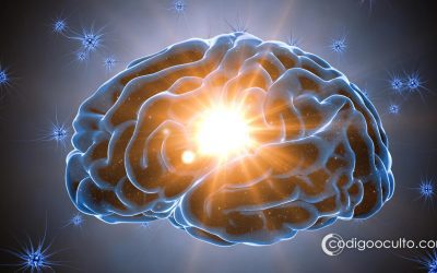 Sueños lúcidos revelan un estado de conciencia completamente diferente, revela investigación