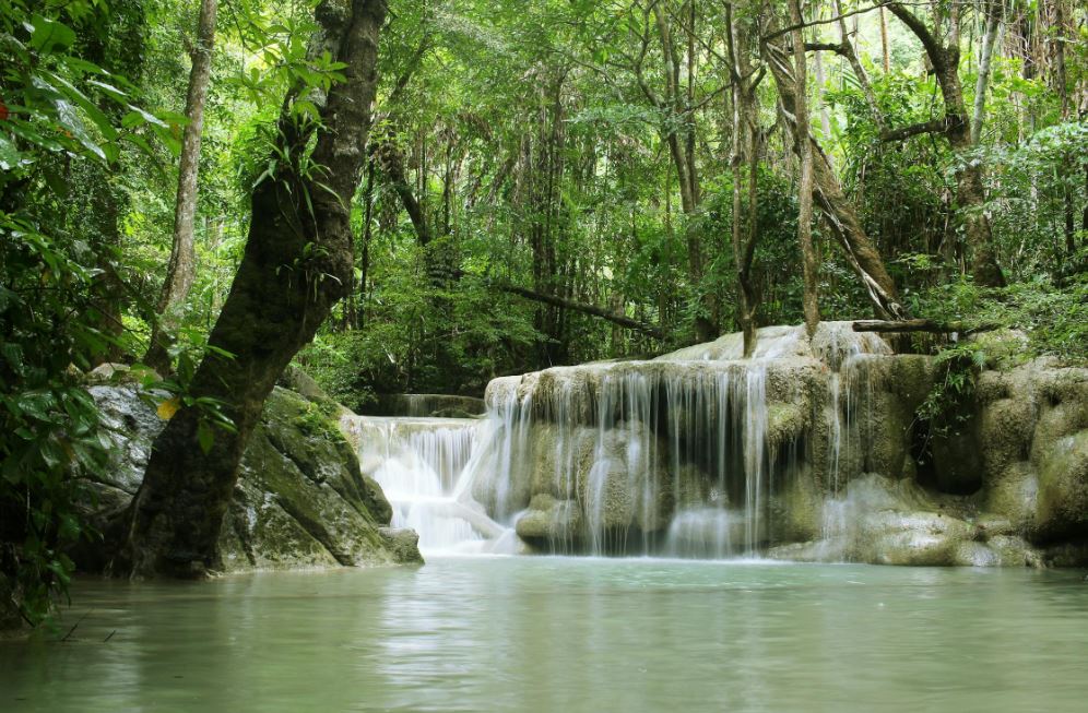 Antes de que el hielo cubriera el continente antártico, bosques tropicales y ríos caudalosos cubrían el terreno