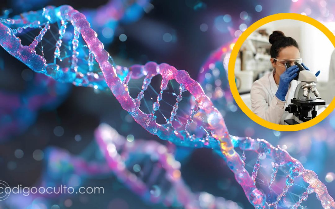 Científicos inician un controvertido proyecto para crear ADN humano artificial desde cero