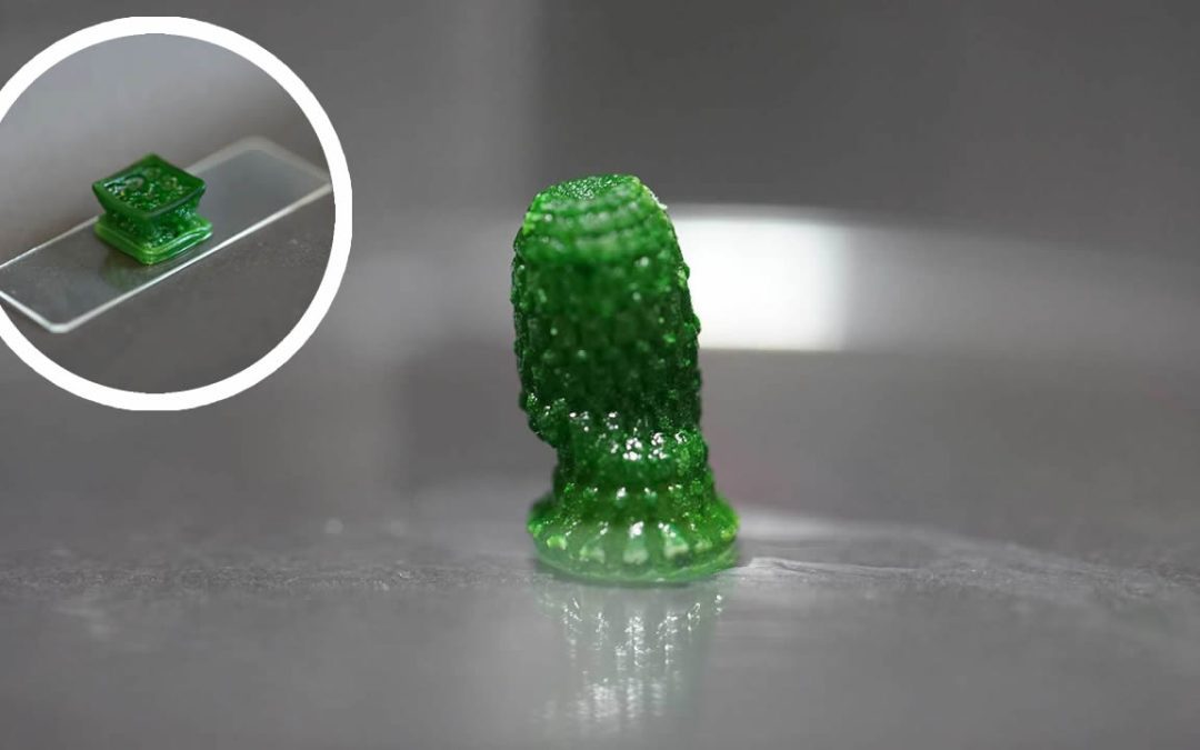 Científicos inventan un material “vivo” fotosintético que absorbe dióxido de carbono de la atmósfera