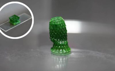 Científicos inventan un material “vivo” fotosintético que absorbe dióxido de carbono de la atmósfera