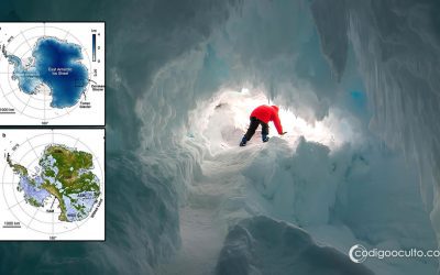Antártida: descubren un mundo perdido de 30 millones de años bajo el hielo. “Una cápsula del tiempo”