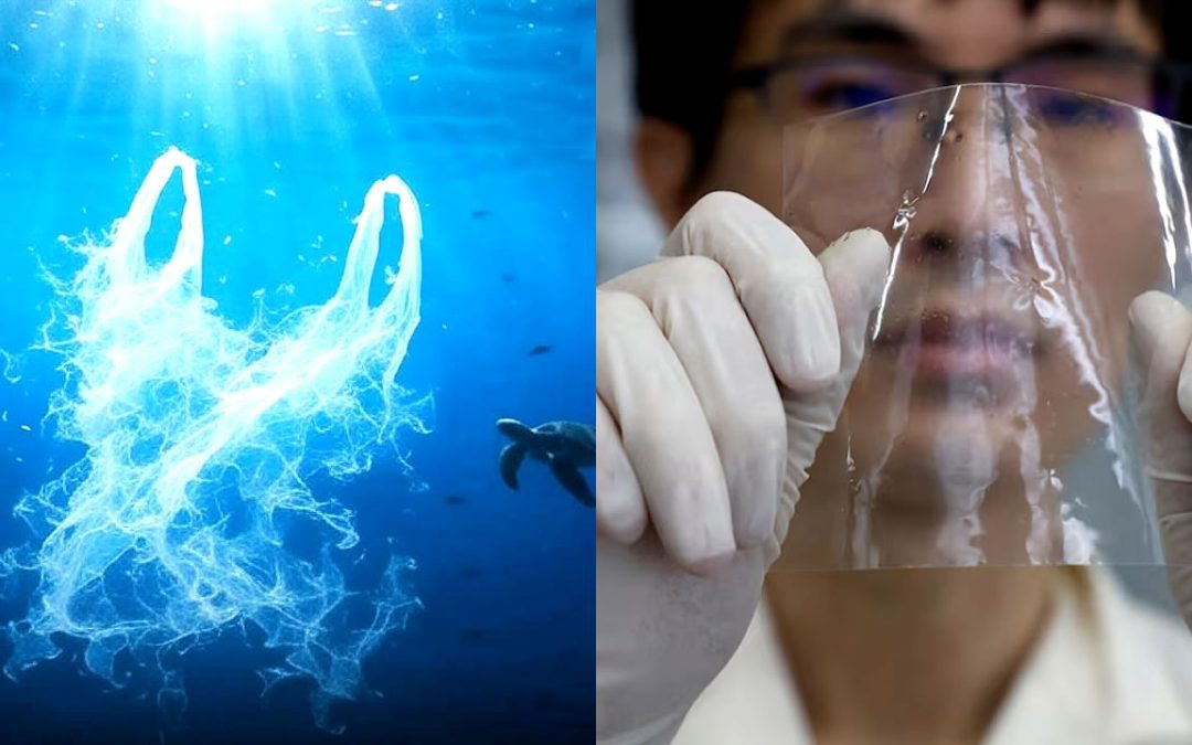 Científicos japoneses crean un plástico que se disuelve en el agua del mar en cuestión de horas y además nutre los suelos