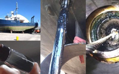 Misteriosa forma de vida (“sustancia negra”) hallada en un barco atracado en Cleveland, Ohio