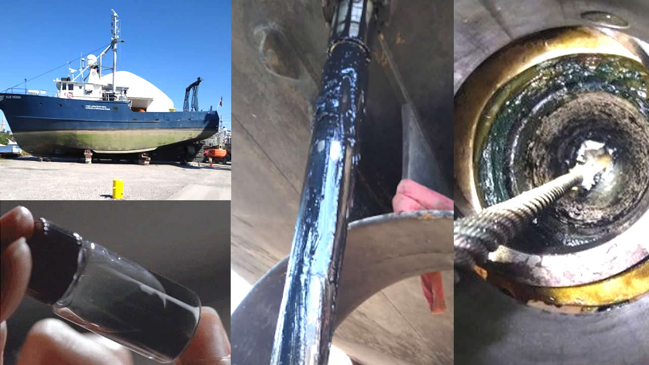 Misteriosa forma de vida ("sustancia negra") hallada en un barco atracado en Cleveland, Ohio