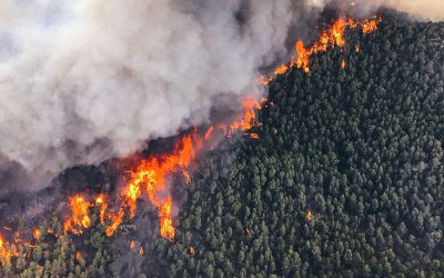 Respuesta rápida y eficaz ante los desastres naturales con tecnología satelital