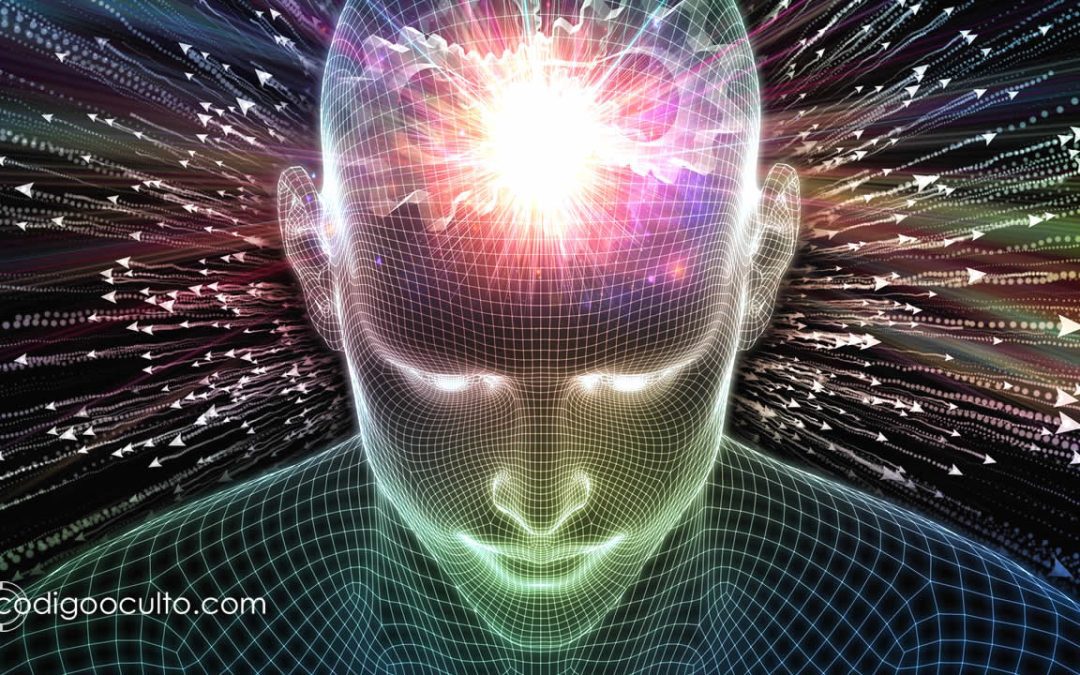 La conciencia podría surgir de nuestro antiguo “cerebro reptil”, sugiere neurocientífico