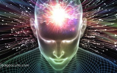 La conciencia podría surgir de nuestro antiguo “cerebro reptil”, sugiere neurocientífico