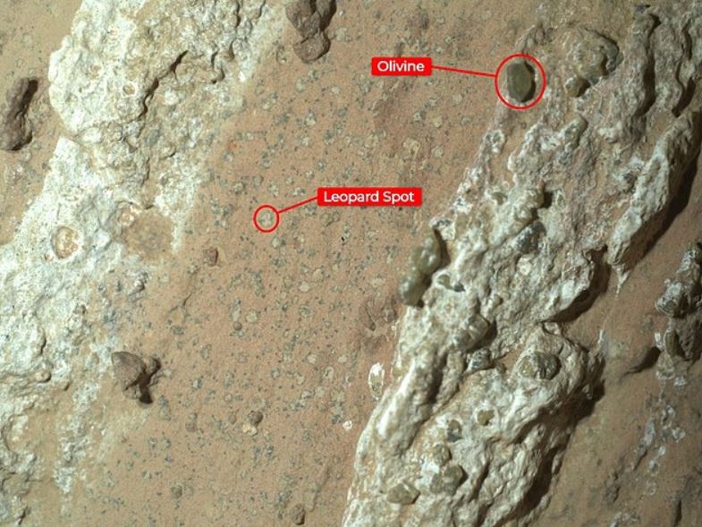 En 2024, Perseverance detectó una roca con forma de punta de flecha llena de vetas que presentaba firmas químicas y estructuras probablemente formadas por vida microbiana hace miles de millones de años.