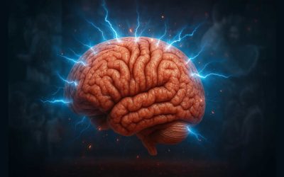 Nueva investigación afirma que el cerebro humano podría estar conectado para siete sentidos