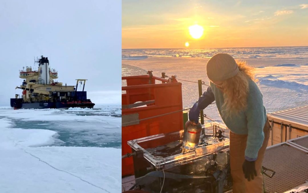 Científicos desconcertados tras descubrir vida “imposible” oculta bajo el hielo marino del Ártico
