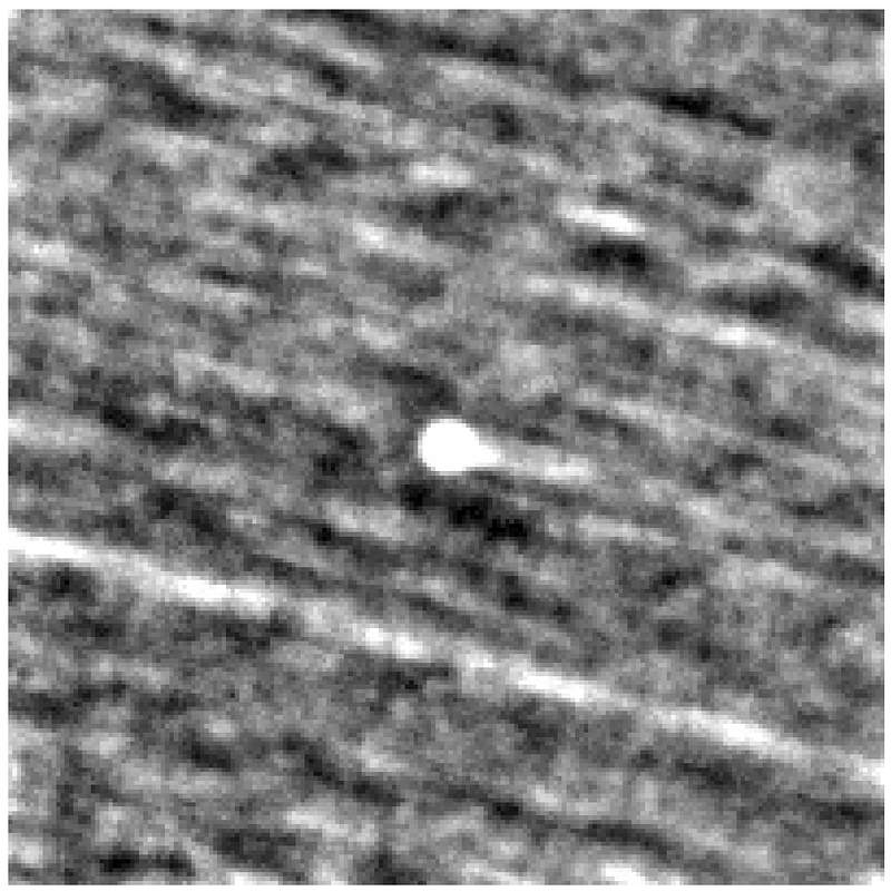 El objeto 3I/ATLAS aparece como un objeto brillante cerca del centro de esta imagen, creada a partir de la combinación de observaciones de la misión PUNCH de la NASA realizadas entre el 20 de septiembre y el 3 de octubre de 2025. En ese momento, el objeto se encontraba a una distancia de entre 372 y 378 millones de kilómetros de la Tierra. Su cola se aprecia como una corta elongación hacia la derecha, mientras que las estrellas aparecen como estelas en el fondo.