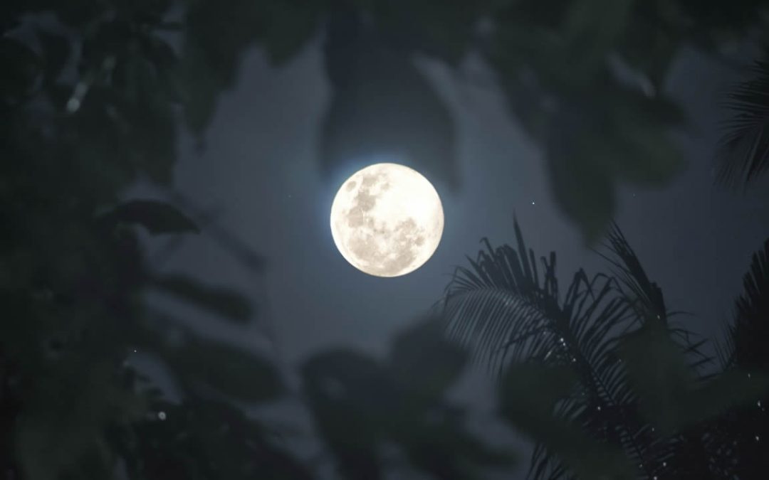 Luna del Castor: la última superluna del año brillará intensamente esta noche