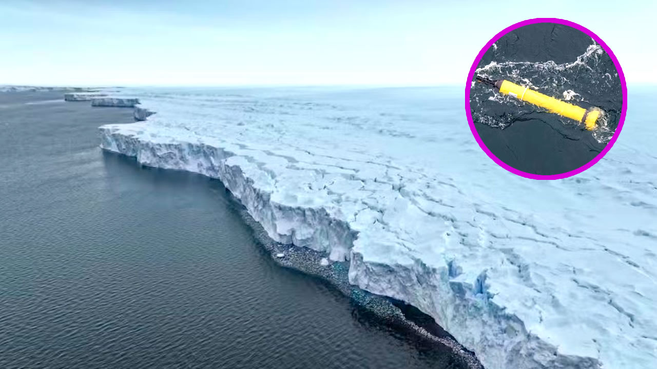 Un robot desapareció y luego reapareció misteriosamente cerca de la Antártida. Ahora se revela que descubrió cuando estuvo perdido