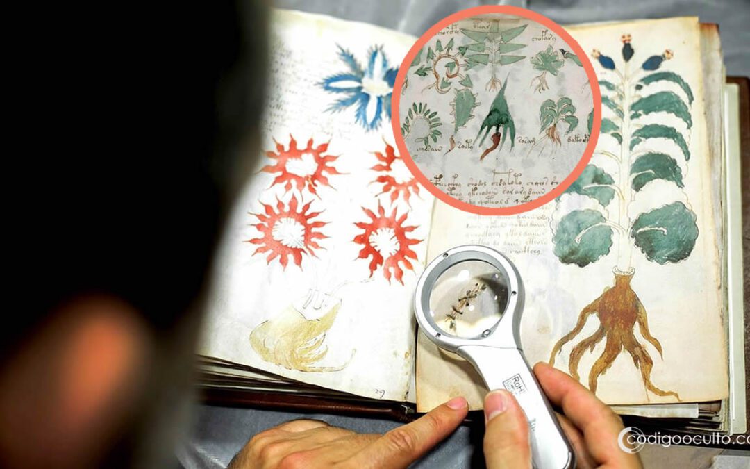 Manuscrito Voynich, el libro más misterioso del mundo, podría relacionarse con un antiguo sistema de cifrado